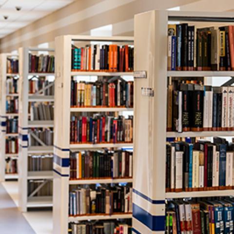 Library Bookshelves photo