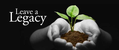 Leave a Legacy, image of  two hands holding a small plant growing.