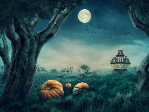 Image shows dark trees, pumpkins and a spooky mansion in the far background.