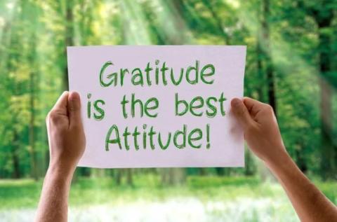 Hands are holding a sign that "Gratitude is the best Attitude!" The backdrop for the sign is sun shining through trees.