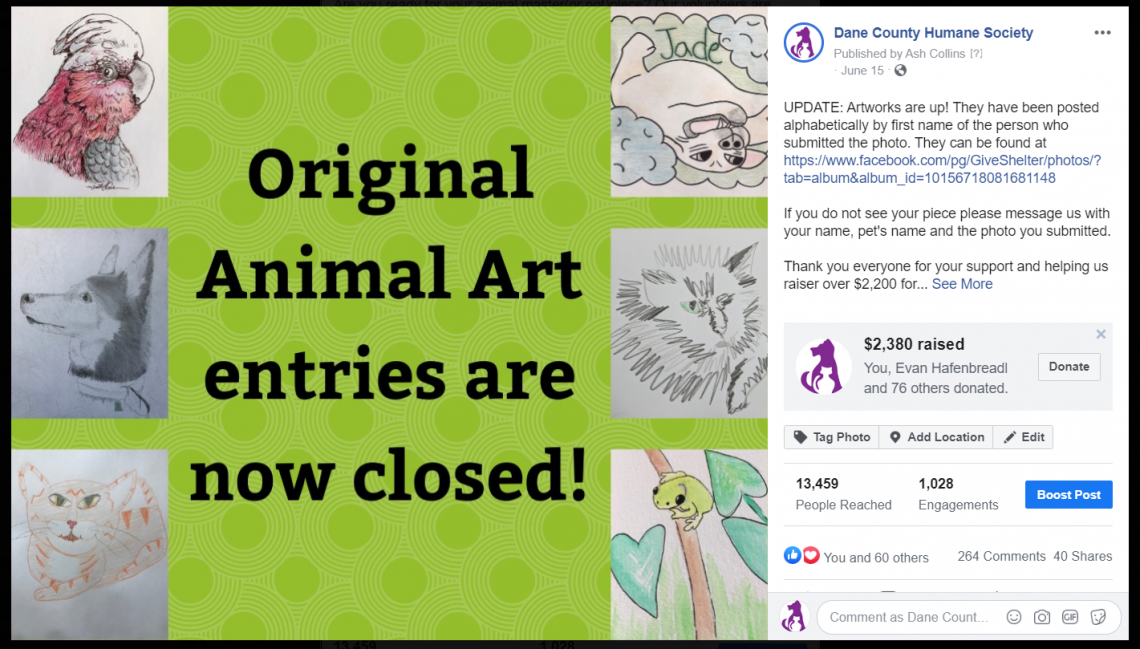 Animal Art FB Fundraiser